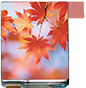 OLED液晶屏